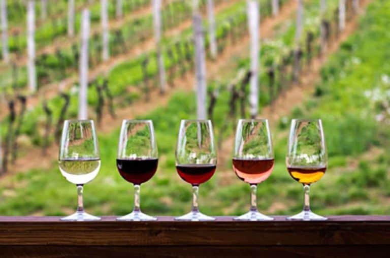 The Top Wine Educators in America Take a Class with These Sommeliers