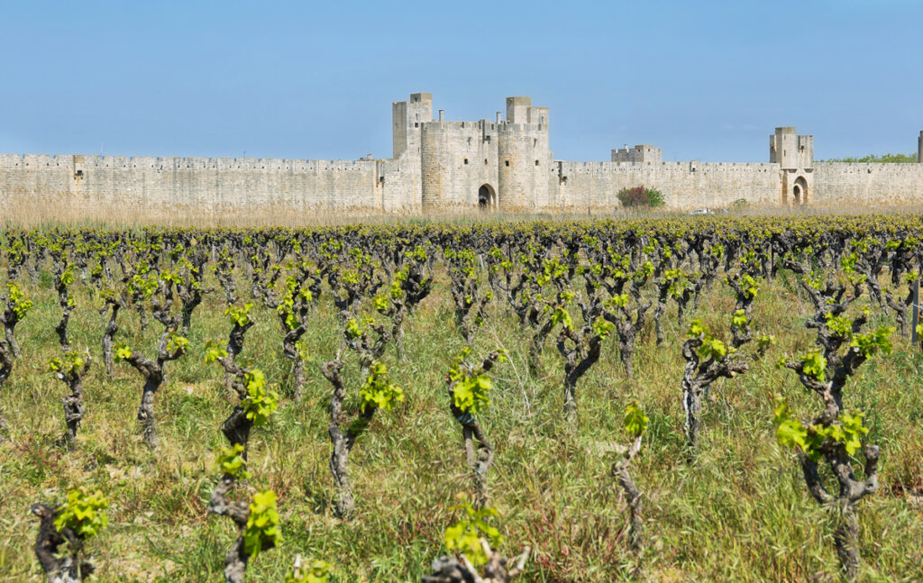 Provence, France Wine Region