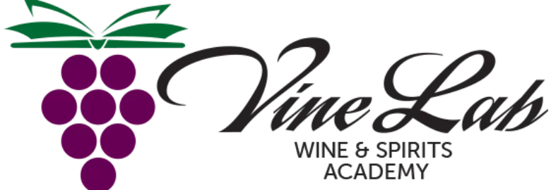 Vine Lab Wine & Spirits Academy of Minnesota